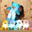 LED King Teddy Bear - Kawaii King